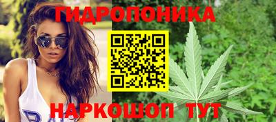 Альфа ПВП Нальчик