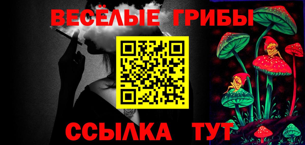 Псилоцибиновые грибы мицелий Семилуки
